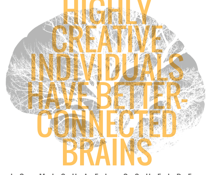 Highly Creative Individuals Have Better Connected Brains | Jo-Michael Scheibe